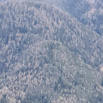 Photo n°8 de l'avis de Tina.r fait le 12/04/2023 à 19:04 sur le  Albergo Hotel Häusler à St. Lorenzen