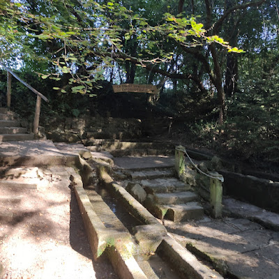 Lavoirs de la source Saint-Ulrich à Wittersheim