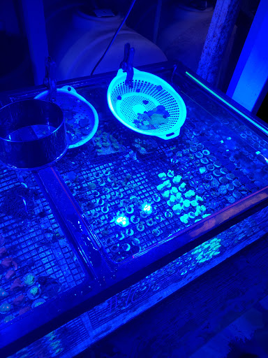 Tropical Fish Store «Fintastic Aquariums», reviews and photos, 3305 NW Main Ave, Jensen Beach, FL 34957, USA