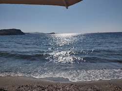Good Harbor beach'in fotoğrafı ve güzel manzarası