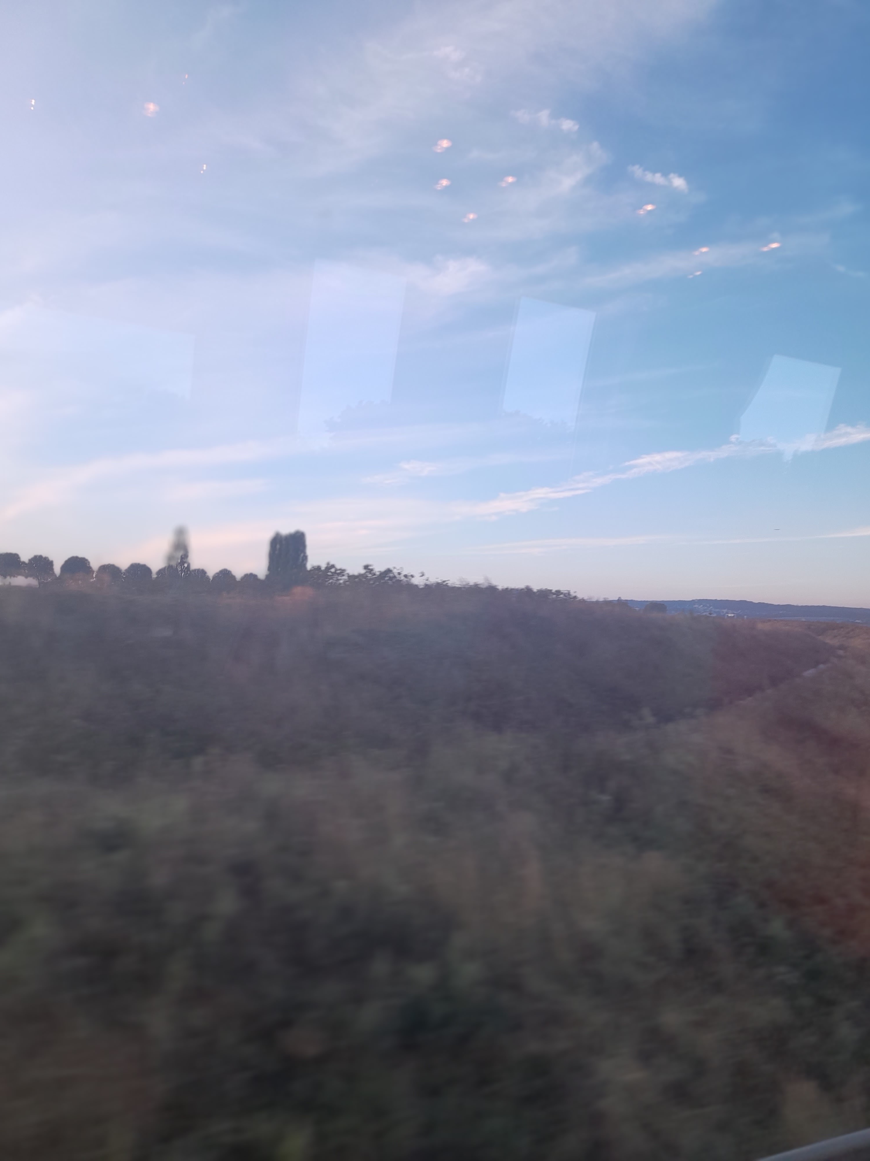 Photo n° 21 de l'avis de Pedro.a fait le 16/10/2023 à 07:18