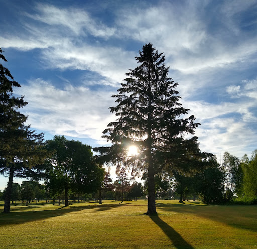 Public Golf Course «Shamrock Golf Course», reviews and photos, 19625 Larkin Rd, Corcoran, MN 55340, USA