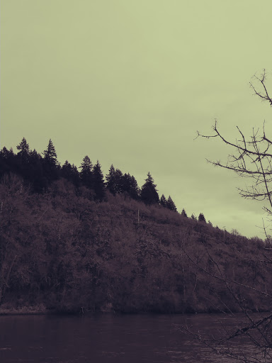 RV Park «Shamrock Village RV Park», reviews and photos, 4531 Franklin Blvd, Eugene, OR 97403, USA