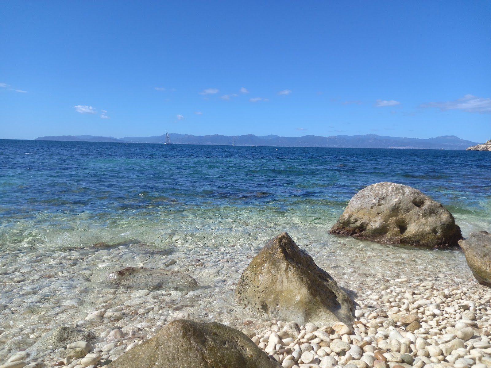Spiaggia Cala Murr'e Porcu的照片 具有非常干净级别的清洁度