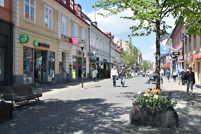 Kristianstad City