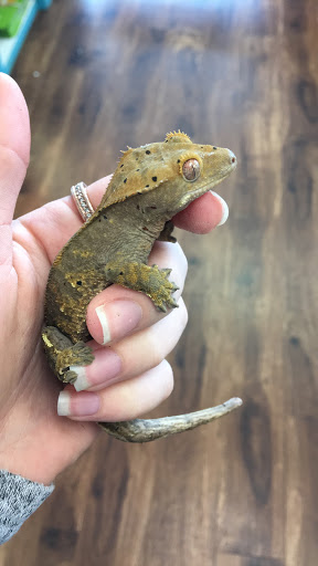 Pet Store «Pet Zone», reviews and photos, 1620 Marion-Mt Gilead Rd, Marion, OH 43302, USA