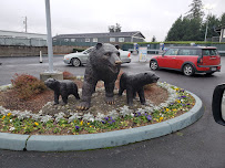 Brown Bear Car Wash - Photo 3 - Car repair in Tacoma, WA, Tacoma
