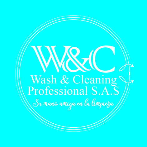 Wash & Cleaning Professional SAS