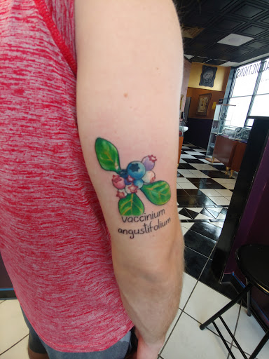 Explore httyd tattoo ideas, creative tattoo ideas in Toledo, available at Steel Addictions