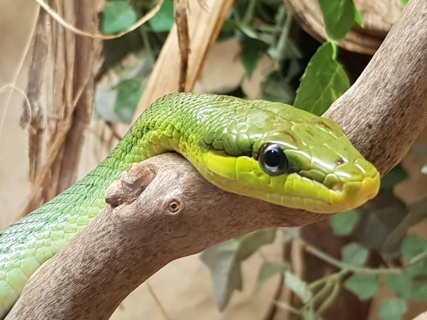 Photo n° 1 de l'avis de PRIVé.o fait le 31/08/2021 à 16:59