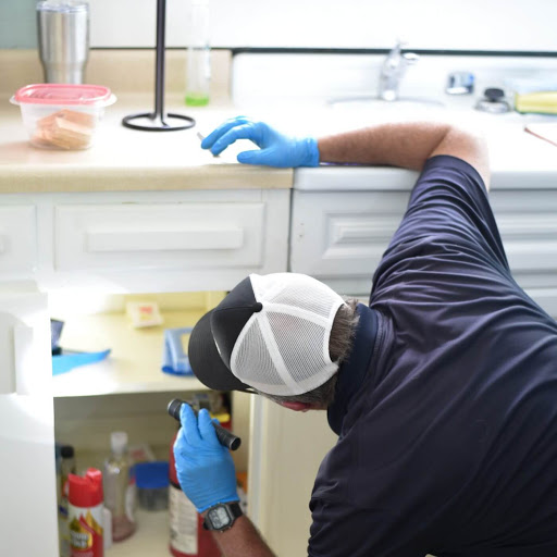 Affordable Pest Control Jacksonville Pest Control Service