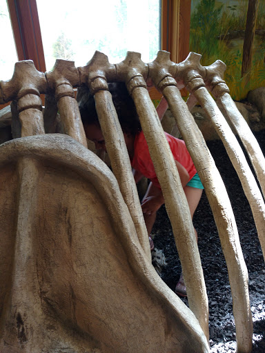 Nature Preserve «Stage Nature Center», reviews and photos, 6685 Coolidge Hwy, Troy, MI 48098, USA