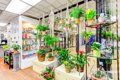 Florist «Dallas Petals», reviews and photos, 7777 Forest Ln, Dallas, TX 75230, USA