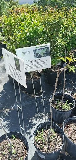 Plant Nursery «Wilcox Nursery», reviews and photos, 12501 Indian Rocks Rd, Largo, FL 33774, USA