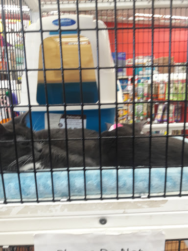 Pet Supply Store «Pet Supermarket», reviews and photos, 4500 N State Rd 7, Pompano Beach, FL 33073, USA