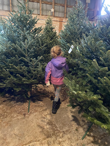 Watson Christmas Trees