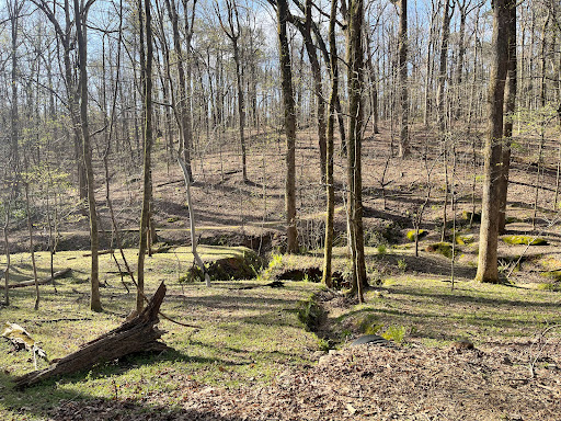 Nature Preserve «Reynolds Nature Preserve», reviews and photos, 5665 Reynolds Rd, Morrow, GA 30260, USA