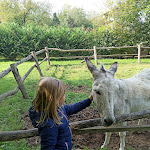 Photo n°1 de l'avis de Valentina.e fait le 15/10/2021 à 07:15 sur le  Agriturismo I Magnin à Carrù