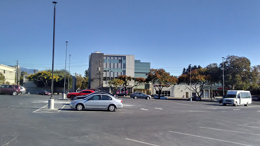 Dollar Store «Dollar Tree», reviews and photos, 1825 Salvio St, Concord, CA 94520, USA