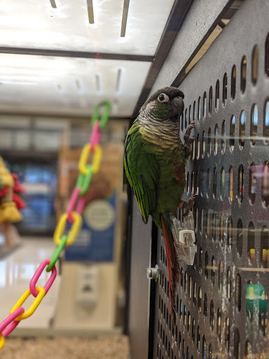 Pet Supply Store «PetSmart», reviews and photos, 8111 Brier Creek Pkwy, Raleigh, NC 27617, USA