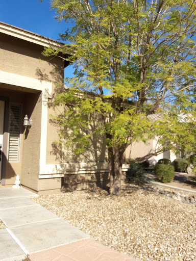 Park «La Paloma Park», reviews and photos, 6579 S Amanda Blvd, Chandler, AZ 85249, USA