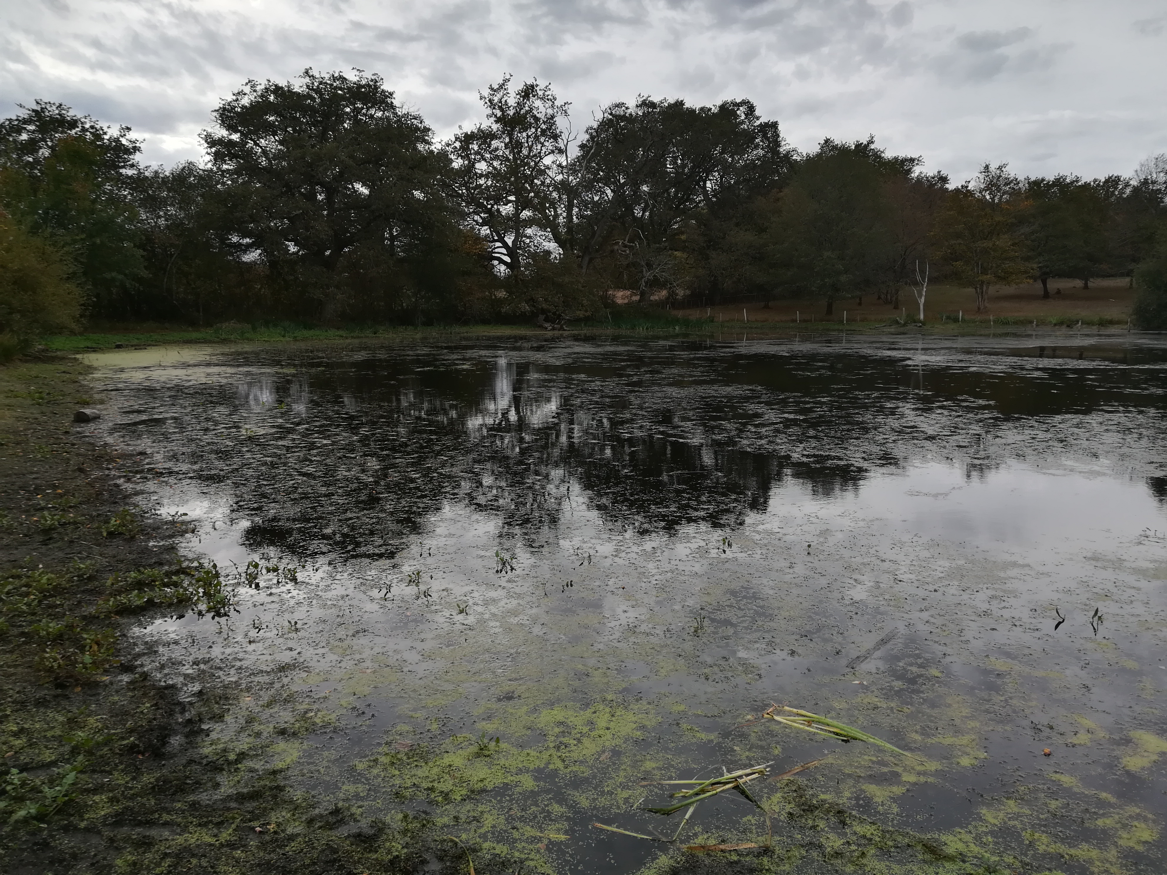 Photo n° 4 de l'avis de Bachir.e fait le 12/10/2018 à 15:18