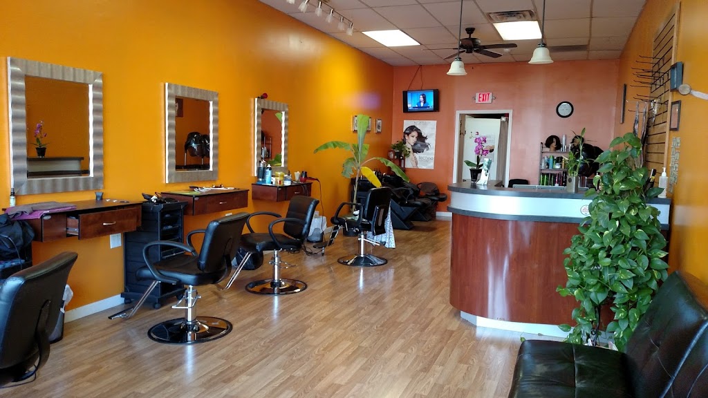 Latin Unisex Salon 10993