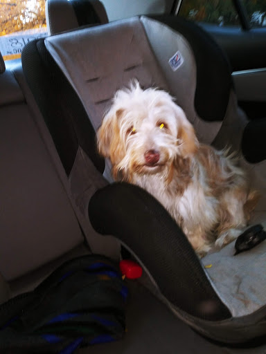 Liquor Store «Castle Liquor», reviews and photos, 30283 Utica Rd, Roseville, MI 48066, USA