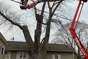 Great Lakes Tree Service, LLC image