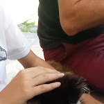 Photo n°6 de l'avis de Tommaso.a fait le 13/06/2023 à 14:40 sur le  Osteria del Mulino à Assisi