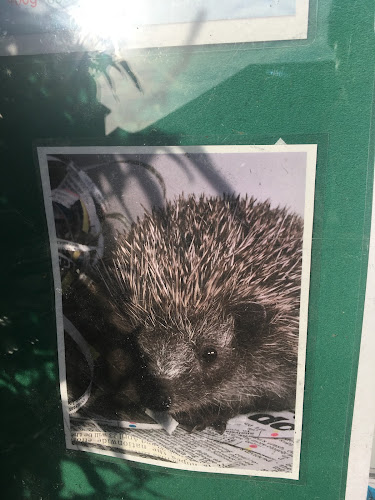 Reviews of Brockworth Hedgehog Rescue in Gloucester - Hospital