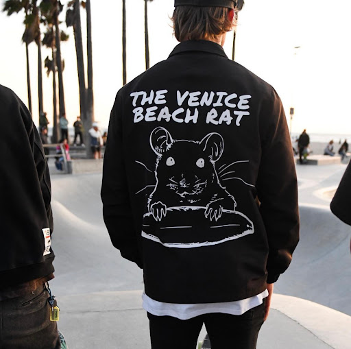 Coyote Skateboard Lessons Surf Lessons Venice Beach Santa Monica Los Angeles image