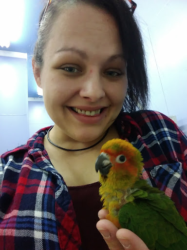 Bird Shop «Paterson Bird Store», reviews and photos, 13 Furler St # 1, Totowa, NJ 07512, USA