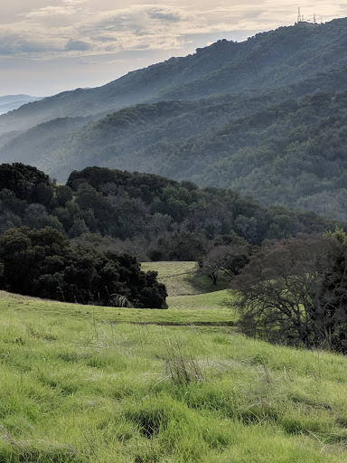 Shopping Mall «Chardonnay Shopping Center», reviews and photos, 4010 East Ave, Livermore, CA 94550, USA