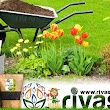 Rivasol ® Tarim Ltd. Solucan Gübresi | Kırmızı Kaliforniya Solucanı