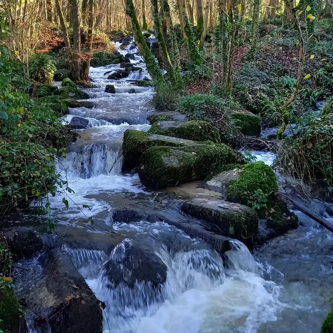 Photo n° 1 de l'avis de Carole.e fait le 17/12/2023 à 18:19