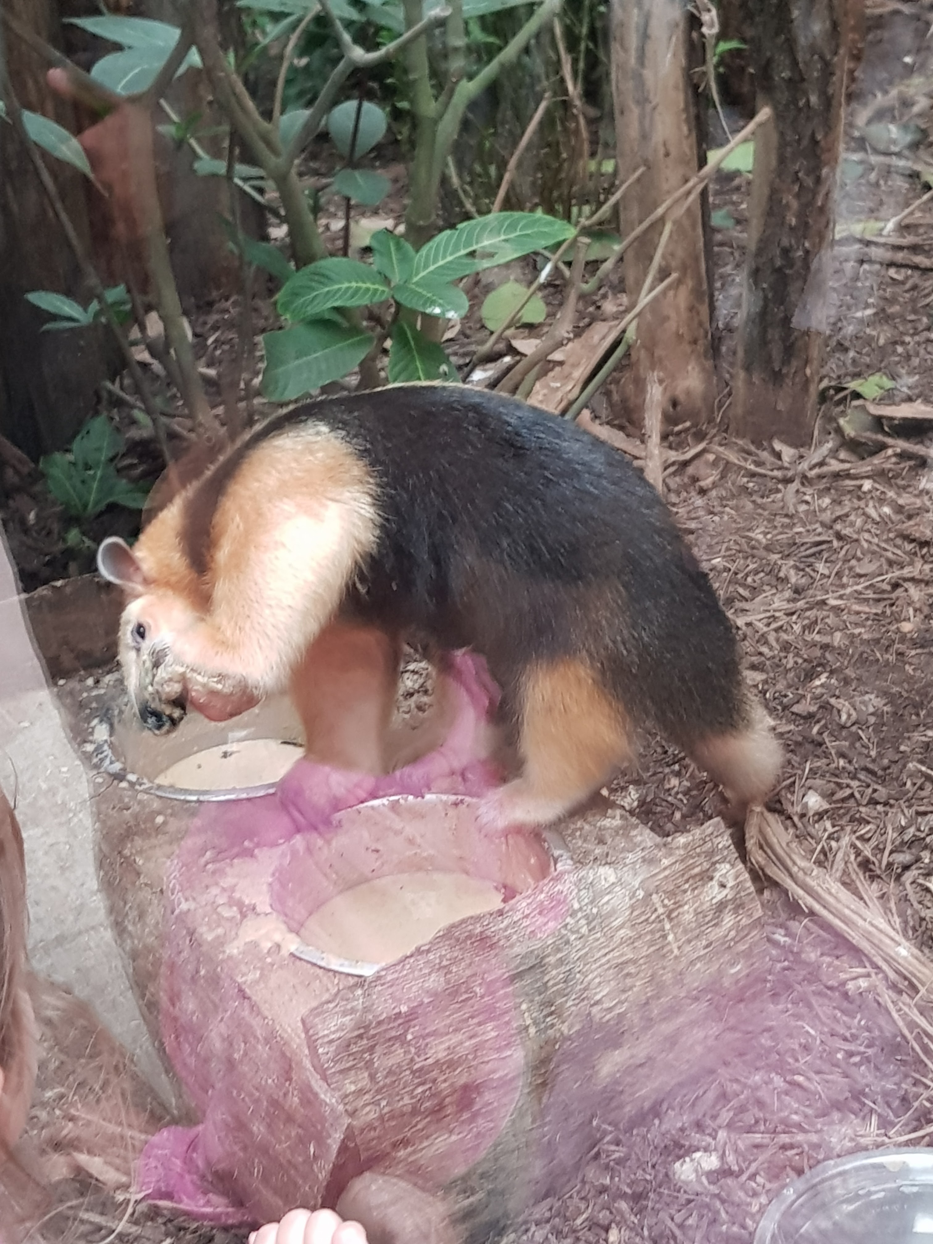 Photo n° 9 de l'avis de Tristan.u fait le 10/05/2018 à 07:04