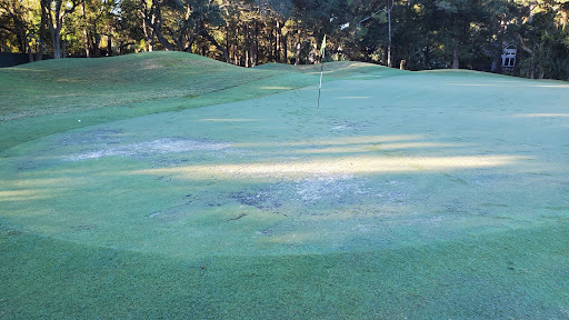 Golf Club «Palmetto Hall Plantation Golf and Country Club», reviews and photos, 108 Fort Howell Dr, Hilton Head Island, SC 29926, USA