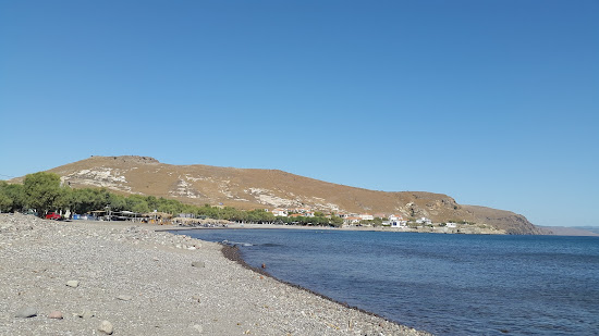 Paralia Tavari