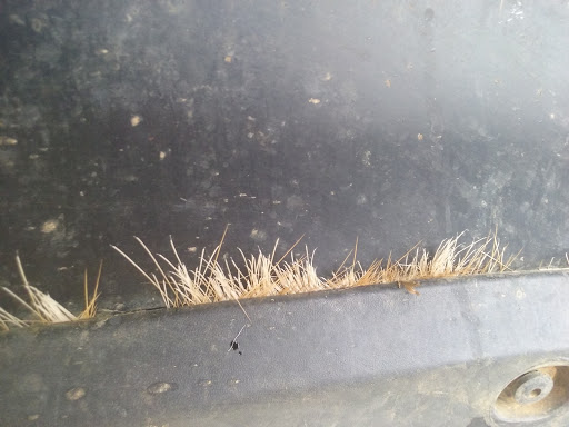 Auto Body Shop «West Broad Collision Center», reviews and photos, 9001 W Broad St, Richmond, VA 23294, USA