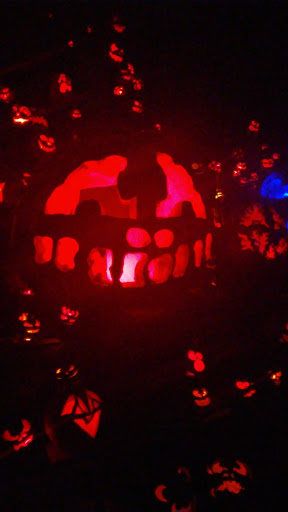 Zoo «Jack-O-Lantern Spectacular», reviews and photos, 1000 Elmwood Ave, Providence, RI 02905, USA