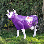 Photo n°8 de l'avis de Roberto.e fait le 16/02/2021 à 18:32 sur le  Il Bacco Toscano à Sesto ed Uniti