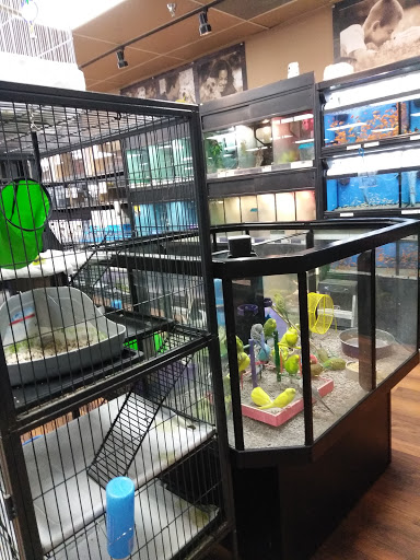 Pet Supply Store «Pet Valu», reviews and photos, 3558 Soldano Boulevard, Columbus, OH 43228, USA