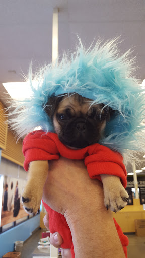 Pet Supply Store «Petco Animal Supplies», reviews and photos, 1530 Black Lake Blvd SW D, Olympia, WA 98502, USA