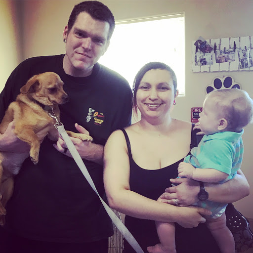 1 Love Dog Rescue image