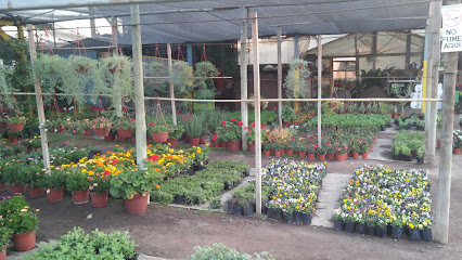 Jardín Manutara