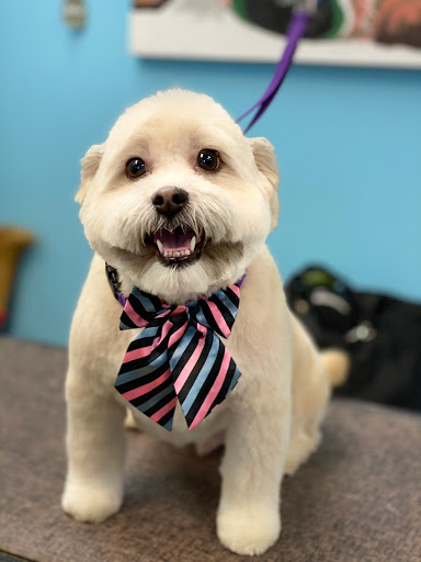 Pet Store «Canine Carousel», reviews and photos, 43135 Broadlands Center Plaza #129, Ashburn, VA 20148, USA