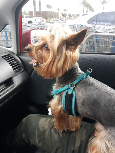 Pet Supply Store «Petco Animal Supplies», reviews and photos, 4663 Firestone Blvd, South Gate, CA 90280, USA