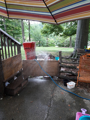 Discount Store «Dollar General», reviews and photos, 990 Heritage Way, Greenville, IN 47124, USA