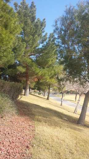Park «Summerlin Centre Community Park», reviews and photos, 10588 Marketwalk Pl, Las Vegas, NV 89135, USA